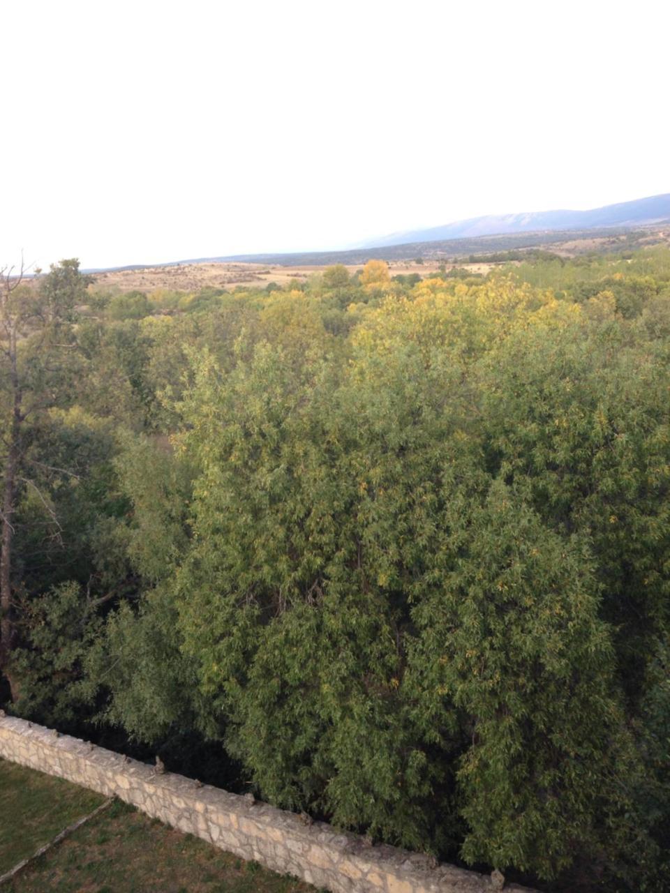 Apartamento Rural La Muralla De Pedraza Chavida Екстериор снимка